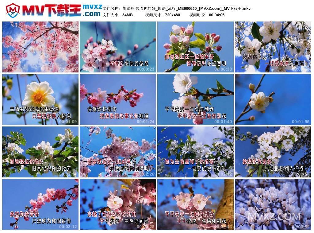 胡蜜丹-想着你的好_国语_流行_ME600650